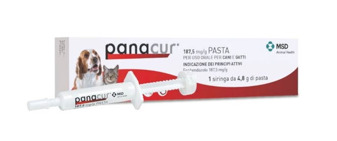Panacur 187,5 Mg/g Pasta Per Uso Orale Per Cani E Gatti Siringa da 4,8g